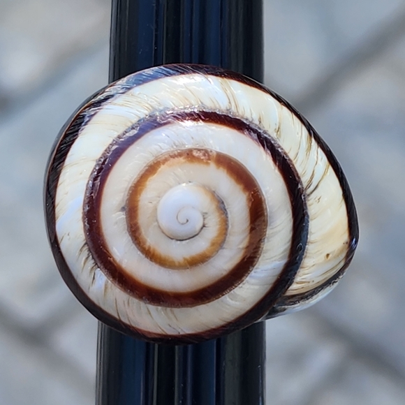 Lot of organic jewelry bone wood mother of pearl shell rings and bracelet - Picture 2 of 16